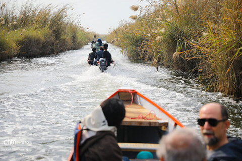اجرای گشت فرهنگی ـ رسانه‌ای در تالاب بین‌المللی شادگان