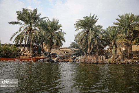 اجرای گشت فرهنگی ـ رسانه‌ای در تالاب بین‌المللی شادگان