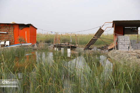 اجرای گشت فرهنگی ـ رسانه‌ای در تالاب بین‌المللی شادگان