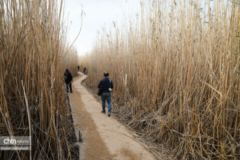 اجرای گشت فرهنگی ـ رسانه‌ای خبرنگاران داخلی و خارجی و فعالان فضای مجازی در خرمشهر