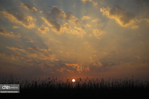 اجرای گشت فرهنگی ـ رسانه‌ای خبرنگاران داخلی و خارجی و فعالان فضای مجازی در خرمشهر