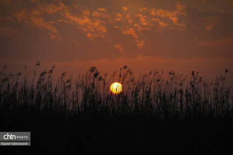 اجرای گشت فرهنگی ـ رسانه‌ای خبرنگاران داخلی و خارجی و فعالان فضای مجازی در خرمشهر