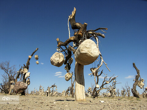 باغ سنگی سیرجان، میراثی از صبوری و خلاقیت مردمان کویر