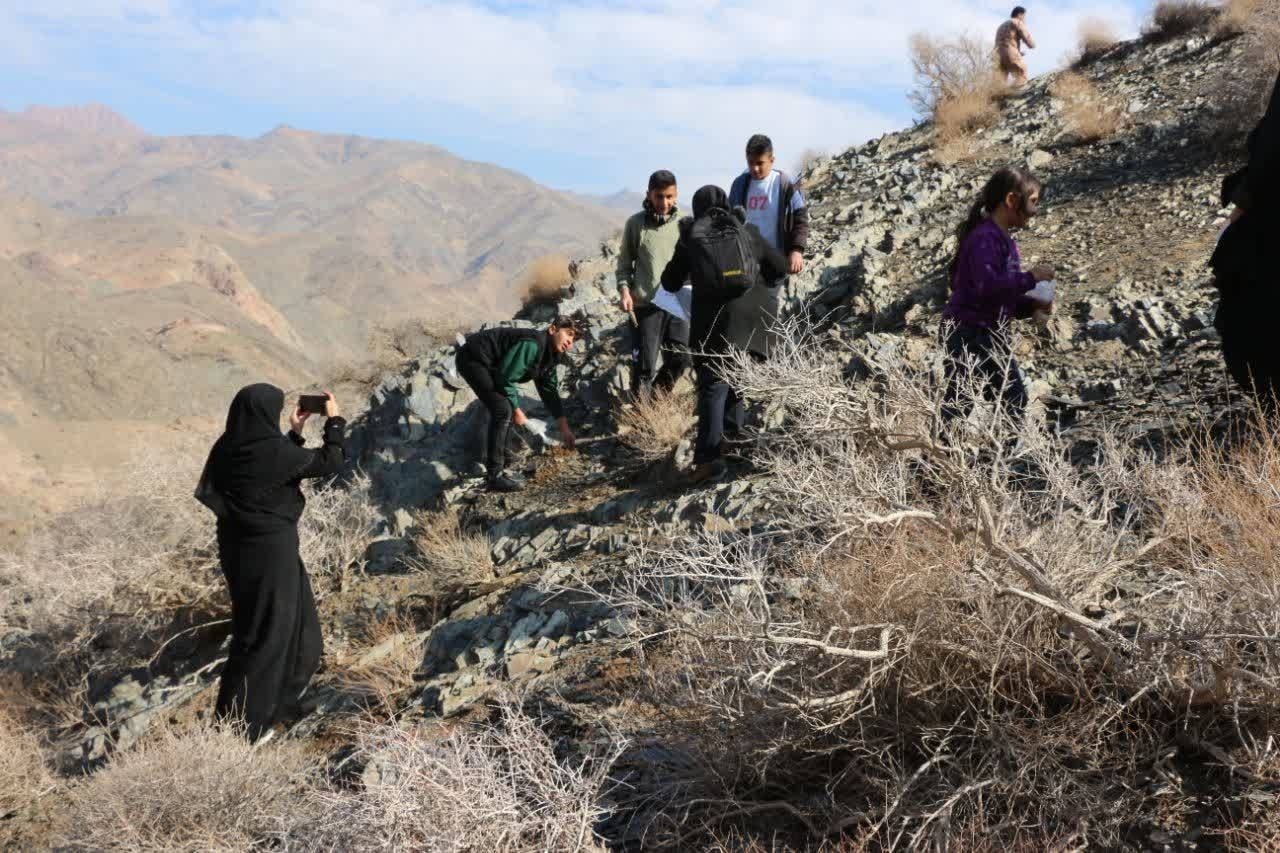 همنوا با طبیعت؛ اردکانگردی در کنار جنگلانه