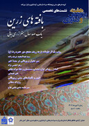 نشست تخصصی «بافته‌های زرین یک صدسال هنر زری بافی» برگزار می‌شود