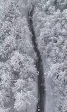 سفیدی بی پایان؛ جاده رویایی رضوانشهر در آغوش زمستان