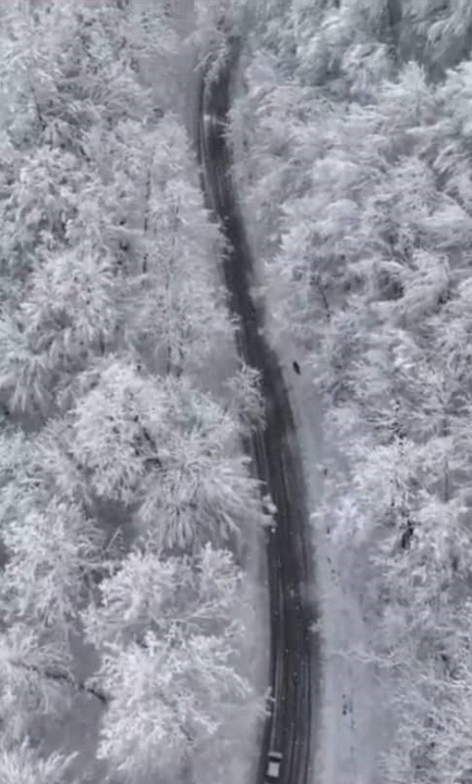 سفیدی بی پایان؛ جاده رویایی رضوانشهر در آغوش زمستان