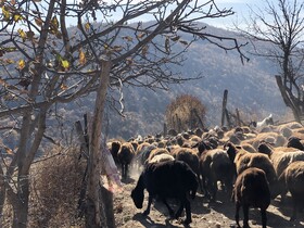 خانه‌های گِلی، دست‌های کوچک، مسئولیت‌های بزرگ