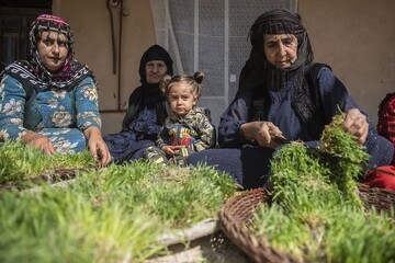 جشنواره سمنوپزان صحنه در فهرست رویدادهای گردشگری کشور ثبت شد