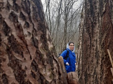 جشنواره چندرسانه‌ای؛ رویدادی که خلأ روایت‌گری میراث‌فرهنگی را پر می‌کند