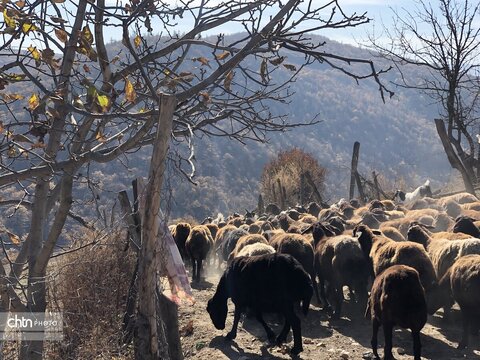 خانه‌های گِلی، دست‌های کوچک، مسئولیت‌های بزرگ