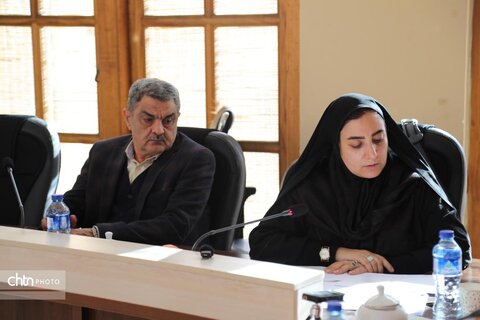 شورای سیاست گذاری ققنوس