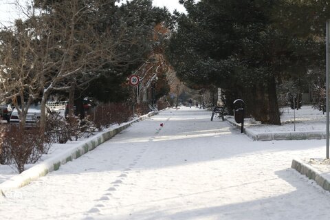 تبریز سفید پوش شد