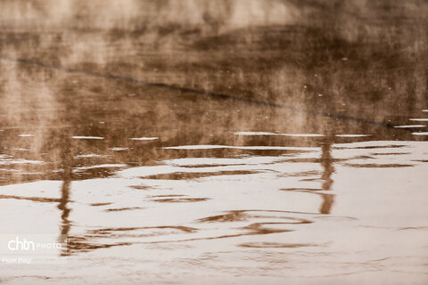 خوداتکایی در تولید شکر