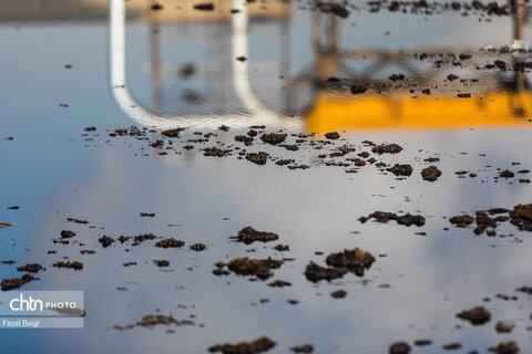 خوداتکایی در تولید شکر