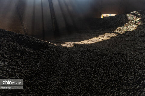 خوداتکایی در تولید شکر