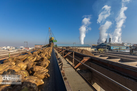 خوداتکایی در تولید شکر