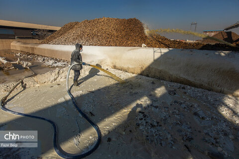 خوداتکایی در تولید شکر