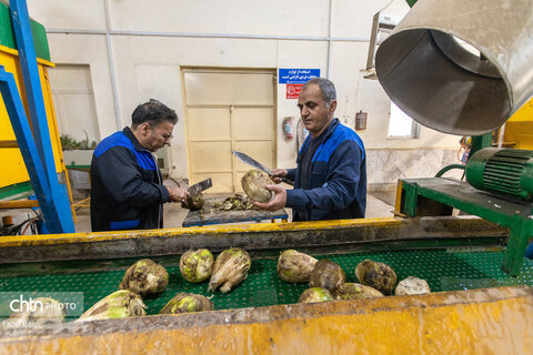 خوداتکایی در تولید شکر