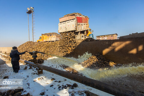 خوداتکایی در تولید شکر