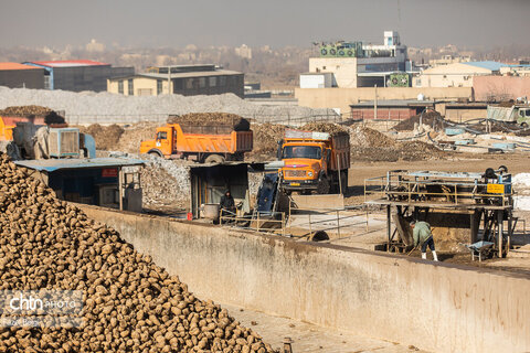 خوداتکایی در تولید شکر