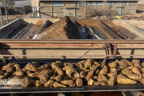 خوداتکایی در تولید شکر