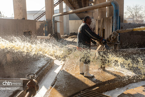 خوداتکایی در تولید شکر