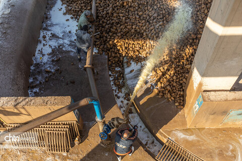خوداتکایی در تولید شکر