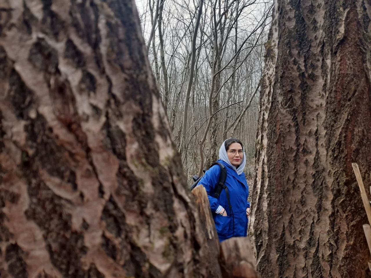 جشنواره چندرسانه‌ای؛ رویدادی که خلأ روایت‌گری میراث‌فرهنگی را پر می‌کند