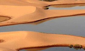 معجزه باران در لوت / شنزارها جان گرفتند