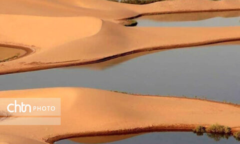 معجزه باران در لوت / شنزارها جان گرفتند