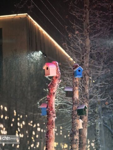 حال و هوای برفی خوی