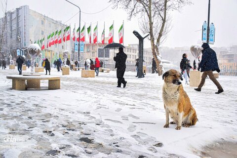 بارش سنگین برف در سنندج