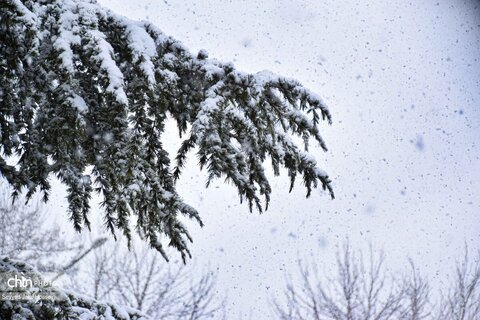 بارش سنگین برف در سنندج