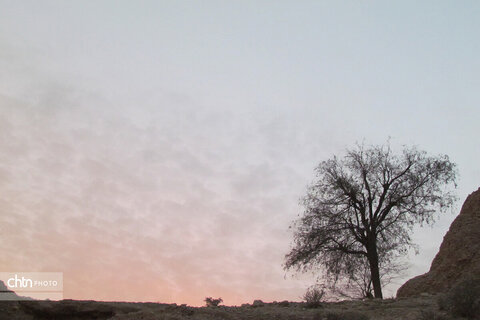 سیراف، بندری خاموش اما پر غرور است که هر موجش داستانی از سفر، تجارت و شکوه کهن را زمزمه می‌کند.