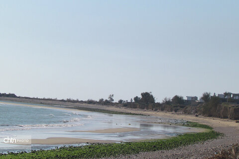 سیراف، بندری خاموش اما پر غرور است که هر موجش داستانی از سفر، تجارت و شکوه کهن را زمزمه می‌کند.