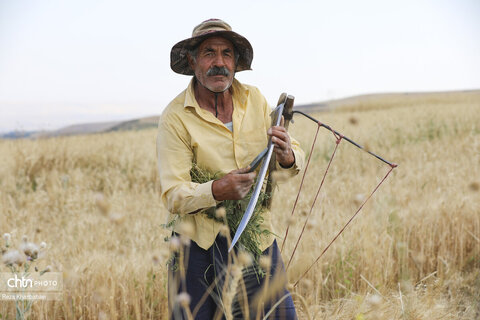 پدر؛ روایت بی‌کلامِ رنج و مسئولیت