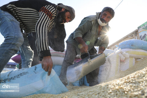 پدر؛ روایت بی‌کلامِ رنج و مسئولیت