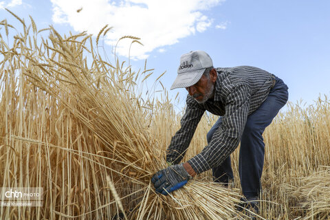 پدر؛ روایت بی‌کلامِ رنج و مسئولیت