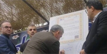 گواهینامه ثبت ملی جشنواره گل نرگس کردکلا رونمایی شد