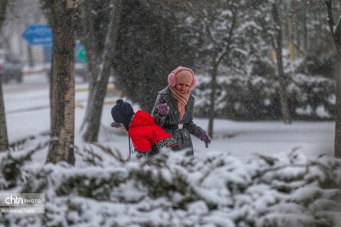 بارش برف و کولاک شدید در اردبیل