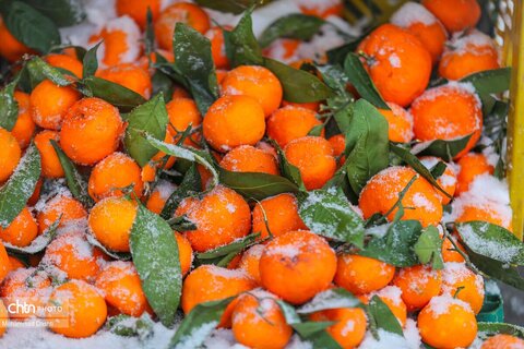 بارش برف و کولاک شدید در اردبیل