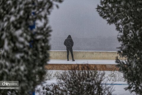 بارش برف و کولاک شدید در اردبیل