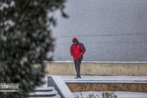 بارش برف و کولاک شدید در اردبیل