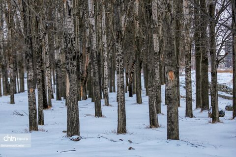 بارش برف و کولاک شدید در اردبیل