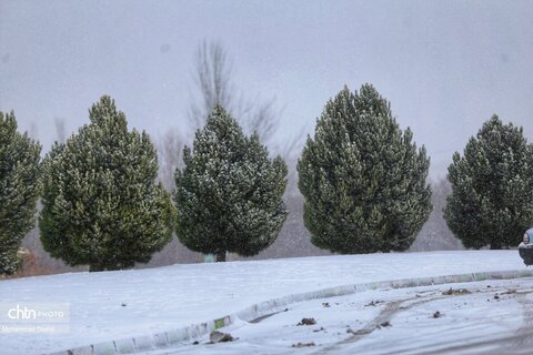 بارش برف و کولاک شدید در اردبیل