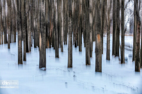 بارش برف و کولاک شدید در اردبیل