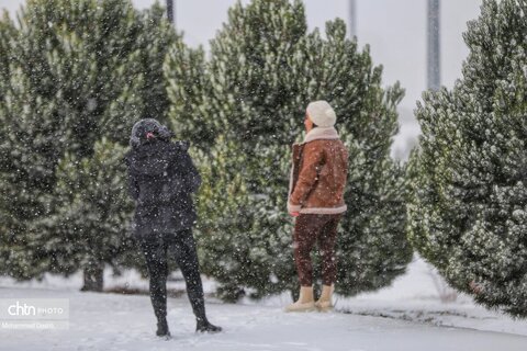 بارش برف و کولاک شدید در اردبیل