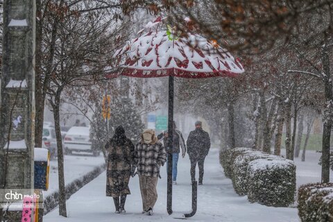 بارش برف و کولاک شدید در اردبیل