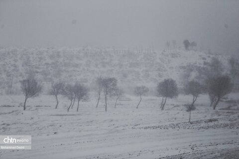 بارش برف و کولاک شدید در اردبیل